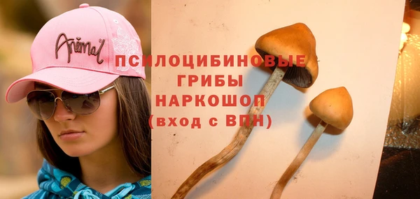 скорость Аркадак