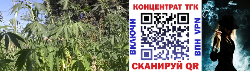 ТГК гашишное масло  Красный Холм 