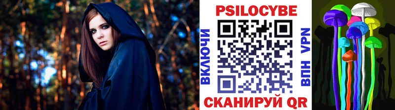магазин продажи   Красный Холм  Псилоцибиновые грибы MAGIC MUSHROOMS 