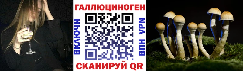 Галлюциногенные грибы мицелий Красный Холм